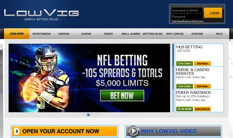 lowvig sportsbook review